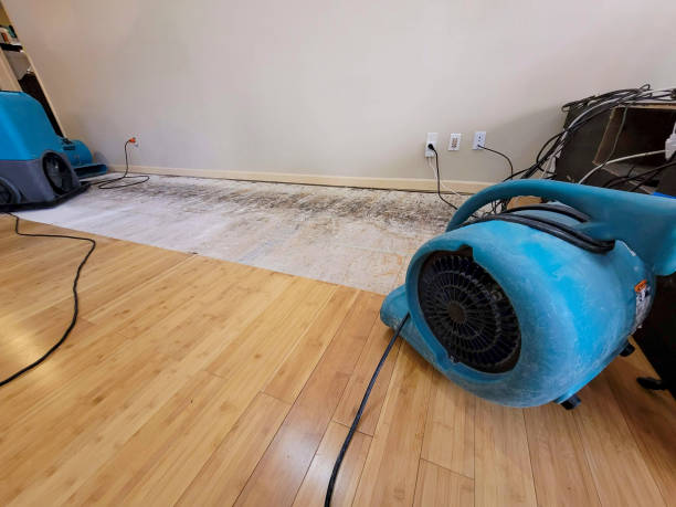 Professional Structural Drying technician working in Highland Park, IL